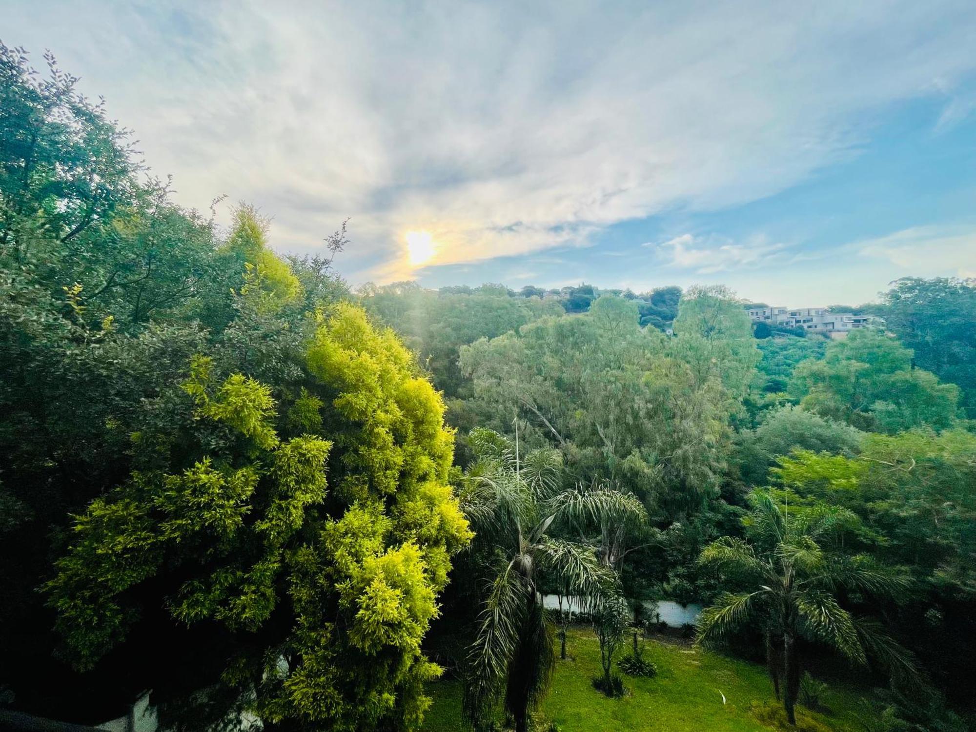 Pretoria Mansion Boutique Hotel Coral Tree Εξωτερικό φωτογραφία